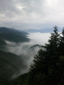 横峰寺遍路道からの雲海