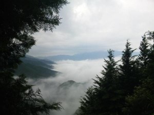 横峰寺遍路道からの雲海
