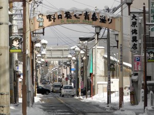 野口英世青春通り