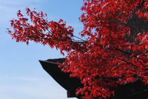 京都の紅葉(清水寺)