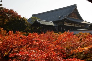 東福寺の方丈と紅葉