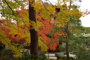 銀閣寺の紅葉