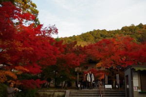 永観堂の紅葉