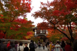 永観堂の紅葉