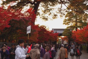 夜間拝観の列